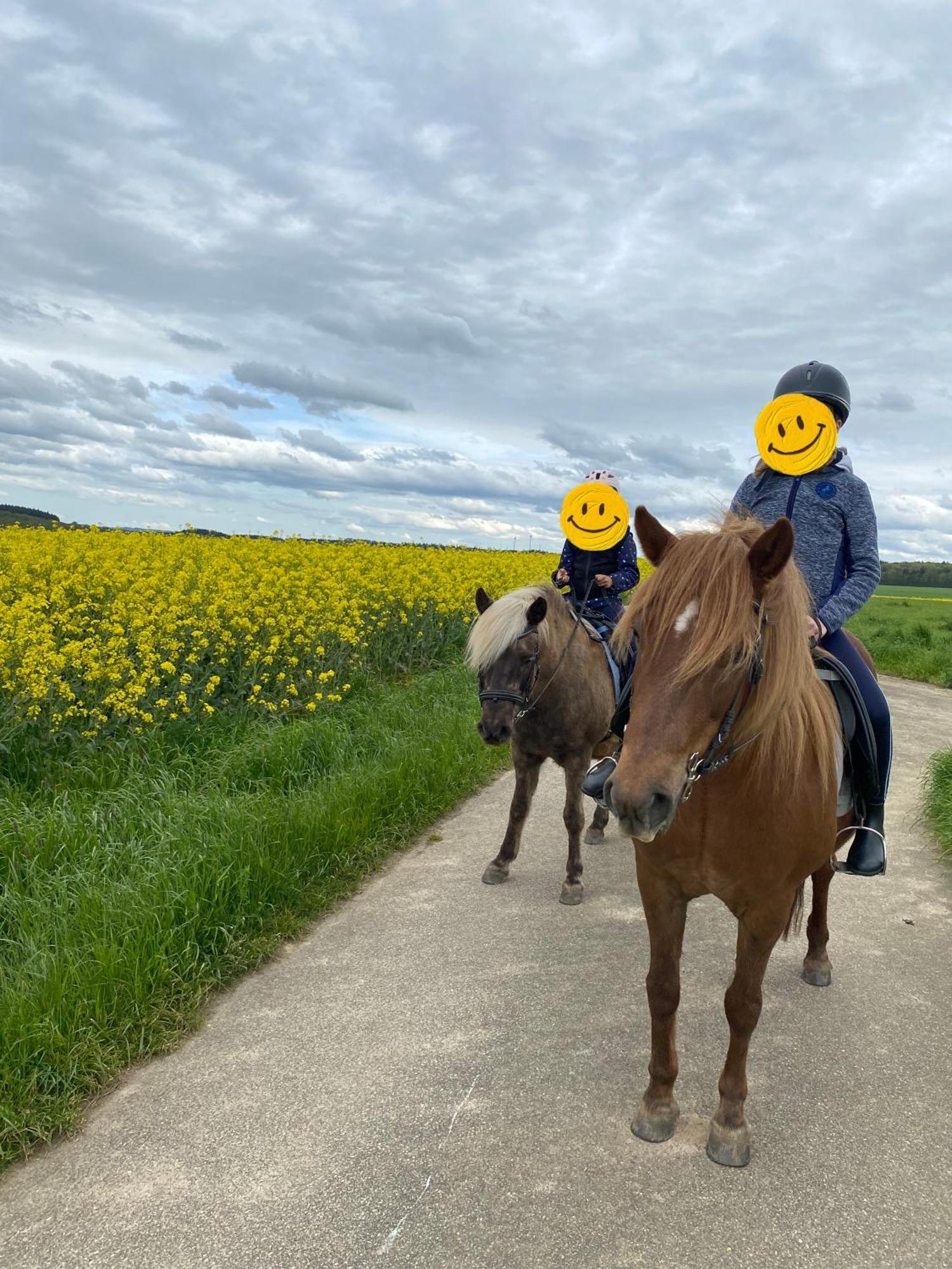Landhof Lieg - Tierische Auszeit In Unseren Gemuetlichen Ferienwohnungen 외부 사진